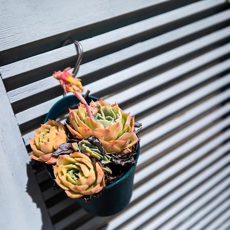L' Evea Garden Le Relecq-Kerhuon Zewnętrze zdjęcie